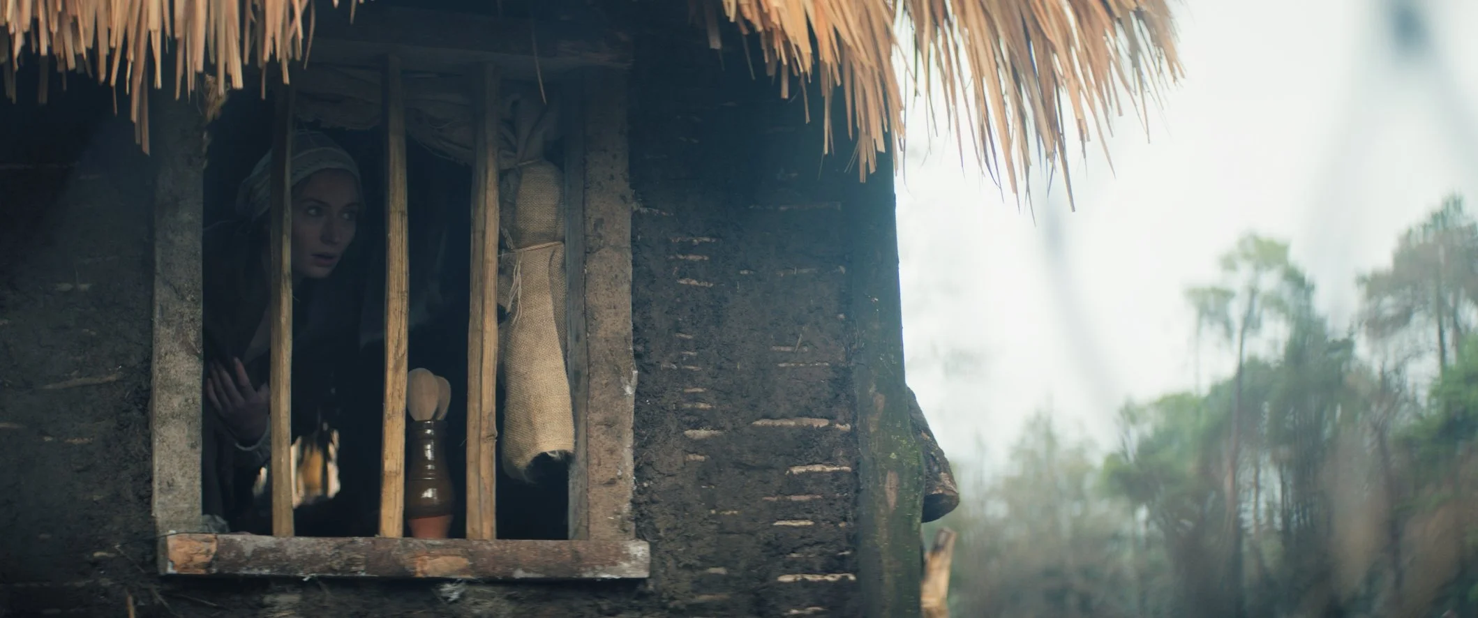 Still 2024-12-02 000456_1.2.5.jpg