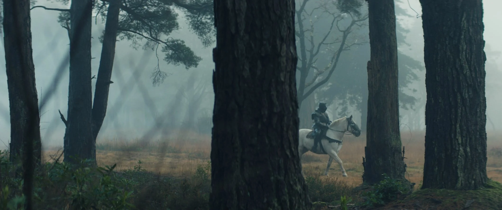 Still 2024-12-02 112937_1.13.3.jpg