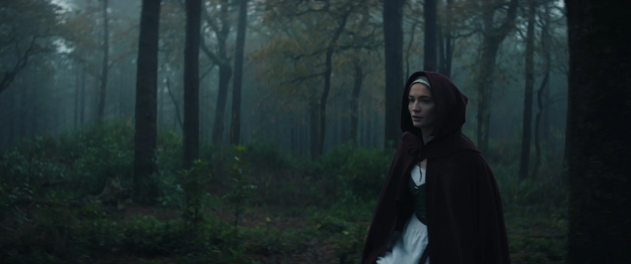 Still 2024-12-02 113005_1.3.4.jpg