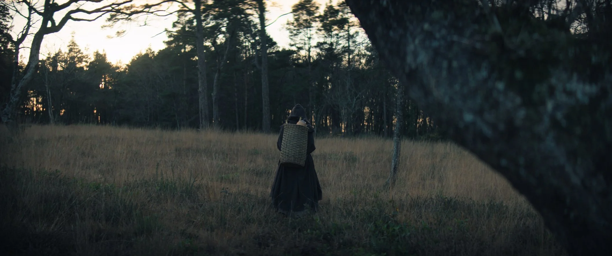 Still 2024-12-03 235134_1.11.4.jpg