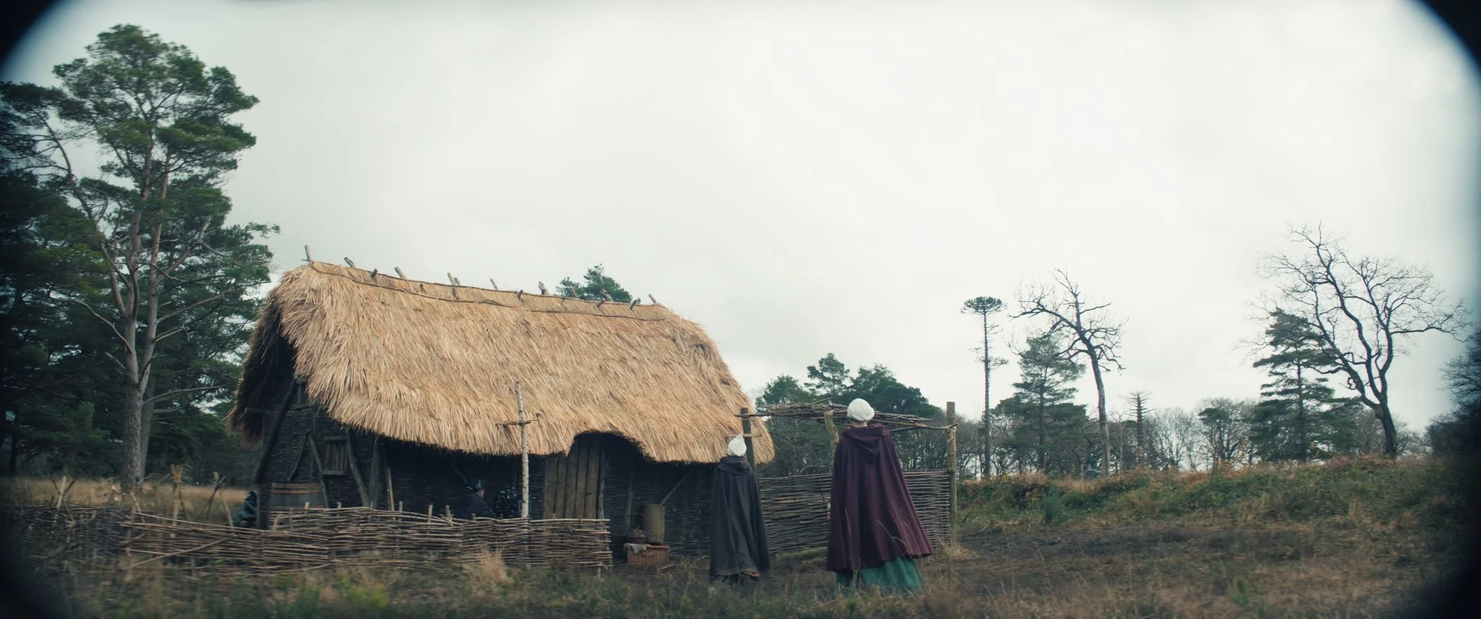 Still 2024-12-05 021436_1.2.4.jpg