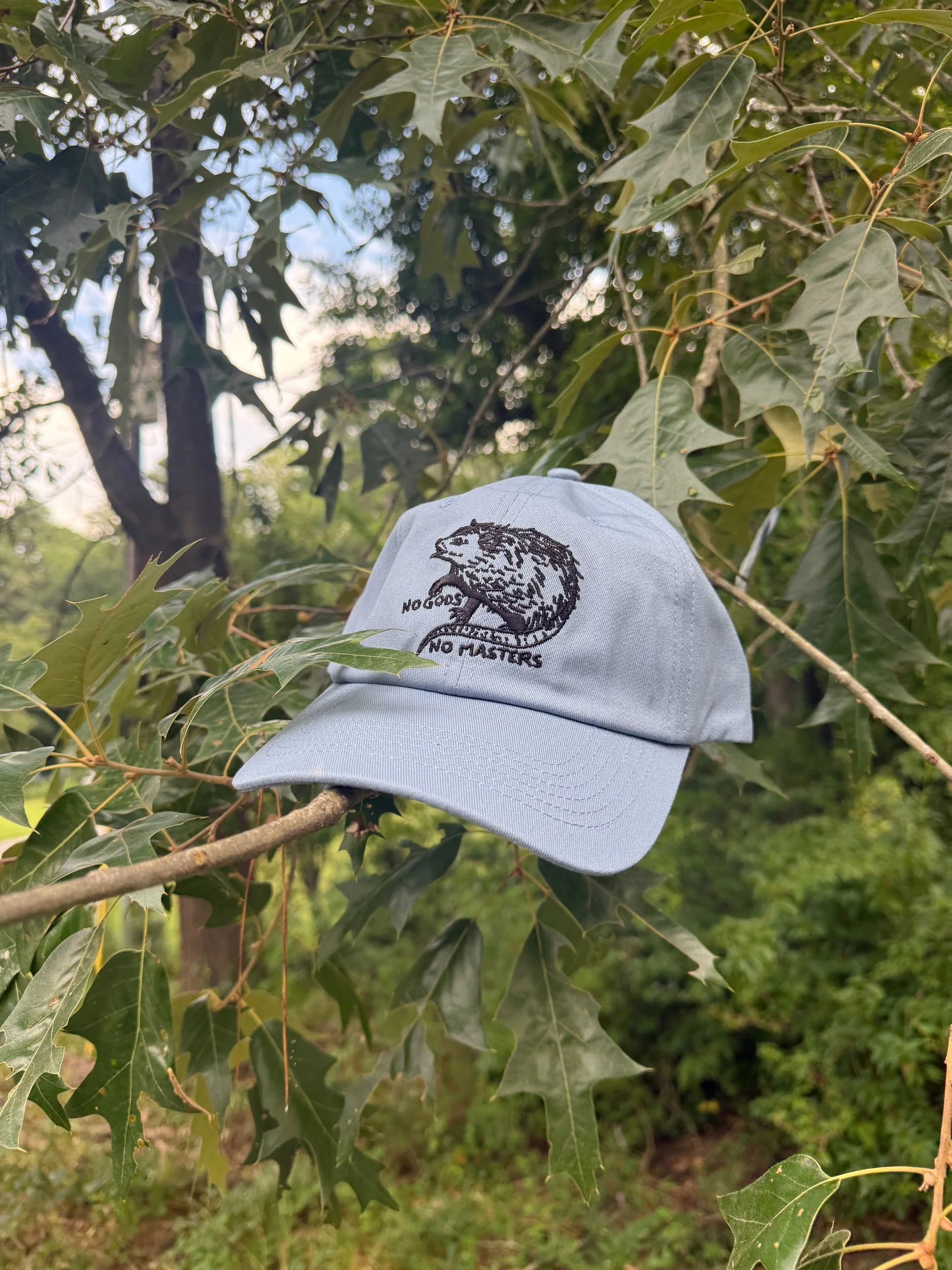 No Gods No Masters Possum Dad Hat (SKY BLUE / LAND CAMO)