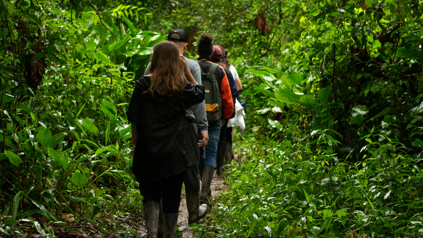 Outdoor Survival - Facing the Unexpected in the Wilderness