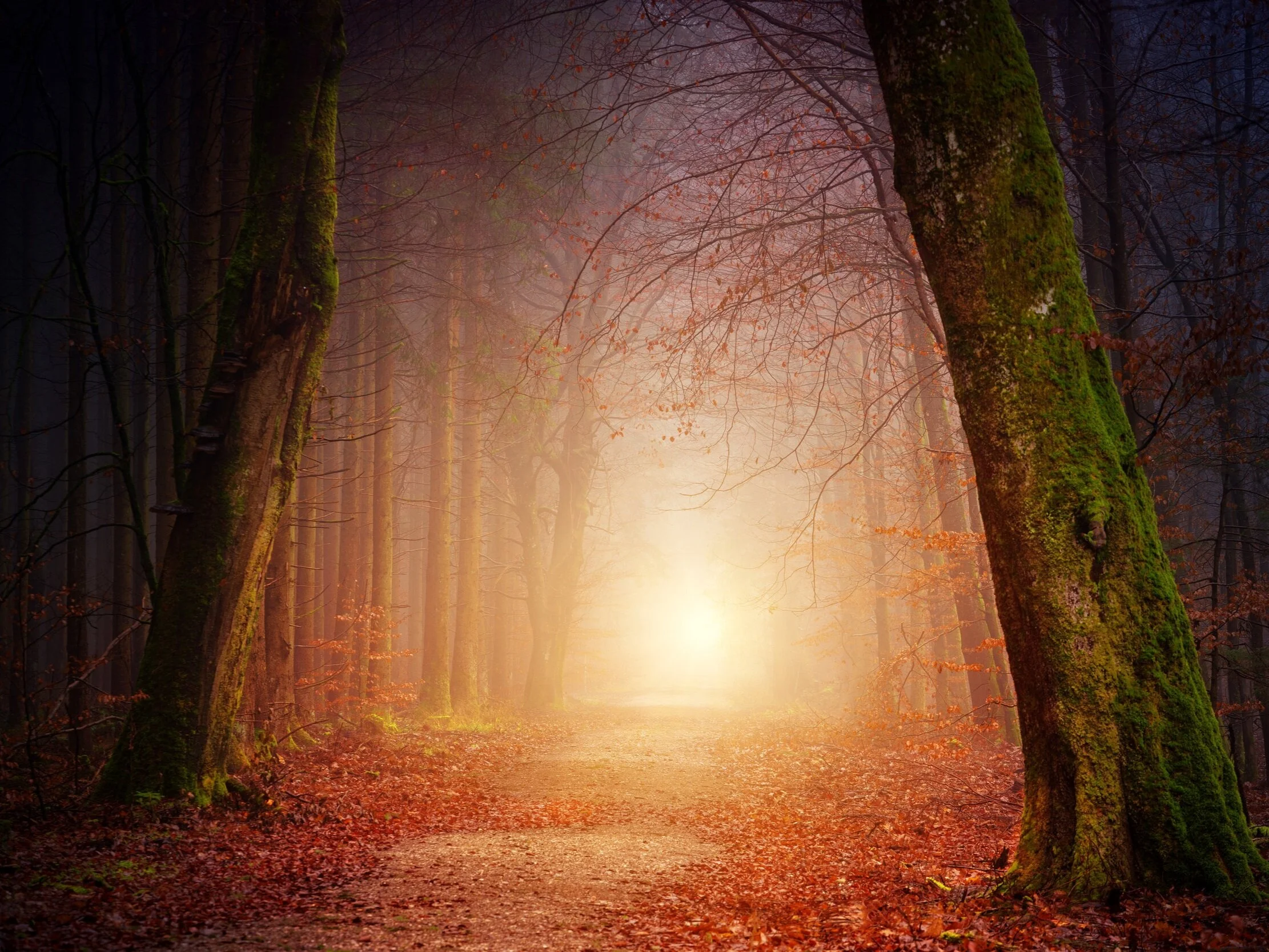 Light at the end of the tunnel