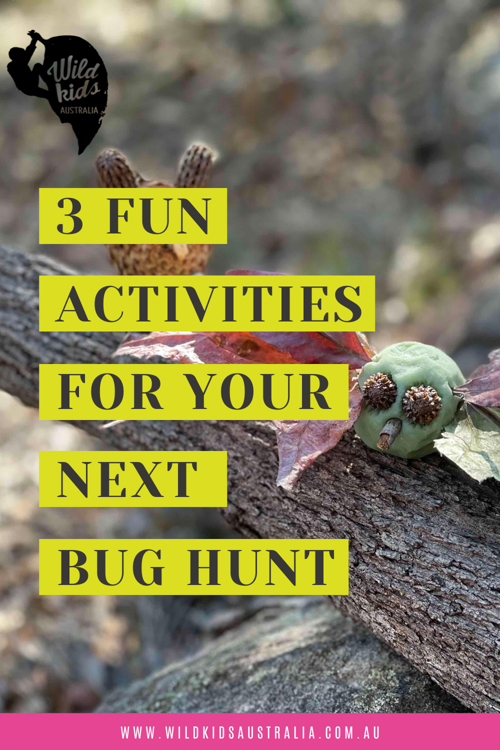 Bug-tastic bug hunt activities.png