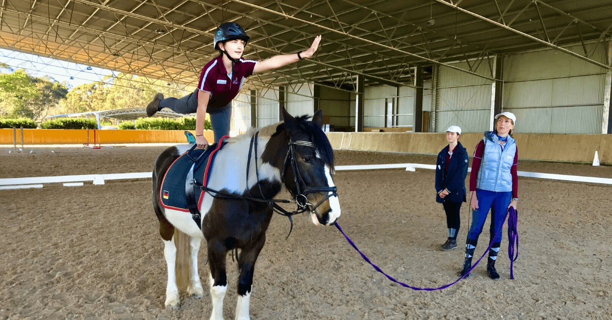 Vaulting lessons now available!