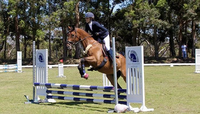 anne_showjumping_600x400.jpg