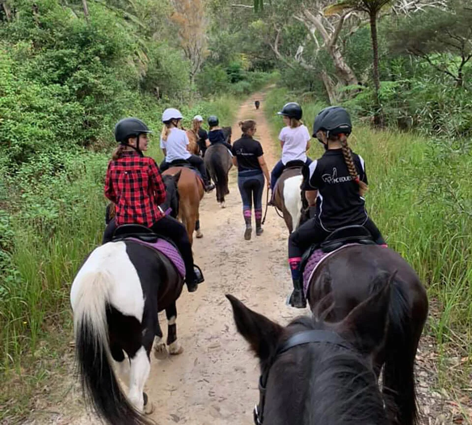 School Holiday Horse Riding Camps — MC Equestrian Riding School