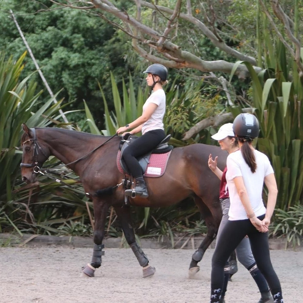 Adult Riding 4-Week courses start next week from Monday 6th May. 12pm-2pm or 6.30pm-8.30pm most days. 

There are currently a few spots left on Monday/ Wednesday and Friday classes. 
Come alone or bring a friend to share the journey. Get in touch wit