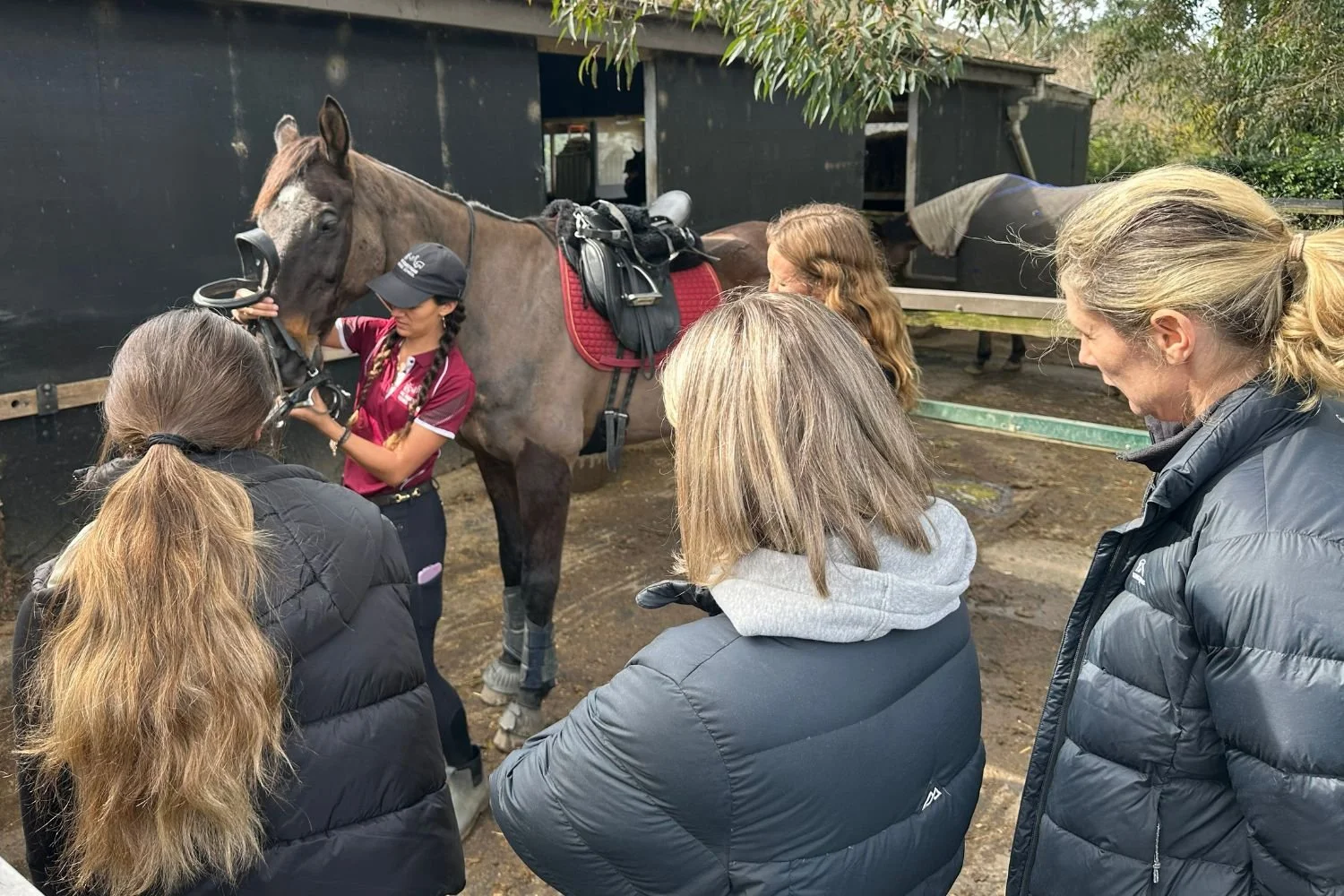 Adult Horse Riding Lessons and Courses — MC Equestrian Riding School