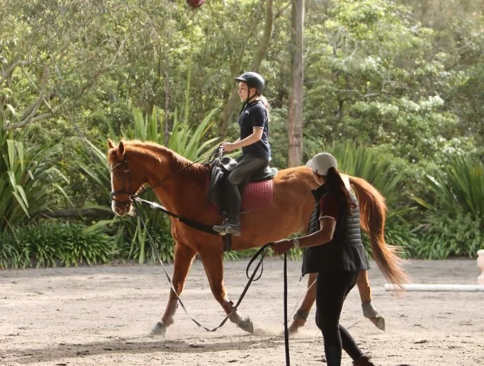 School Horse Riding Programs in Terrey Hills — MC Equestrian Riding School