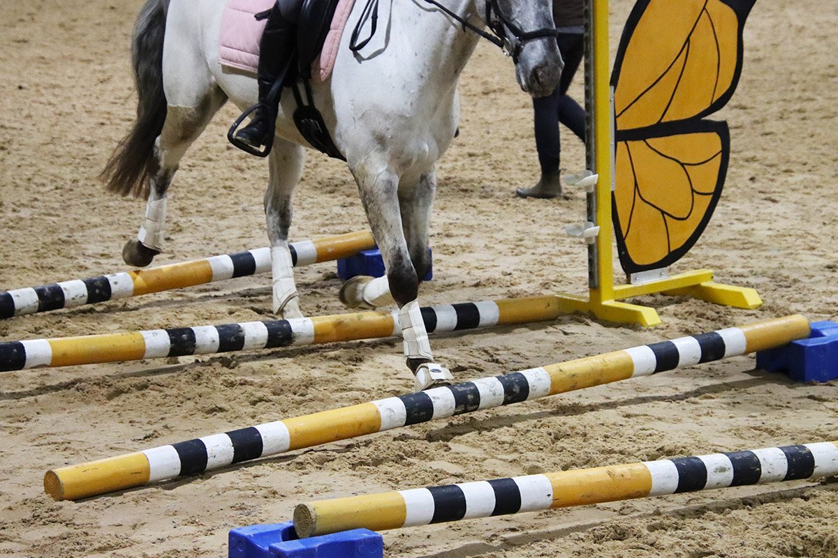 Polegate Horse Riding Adult Group Lessons — MC Equestrian Riding School