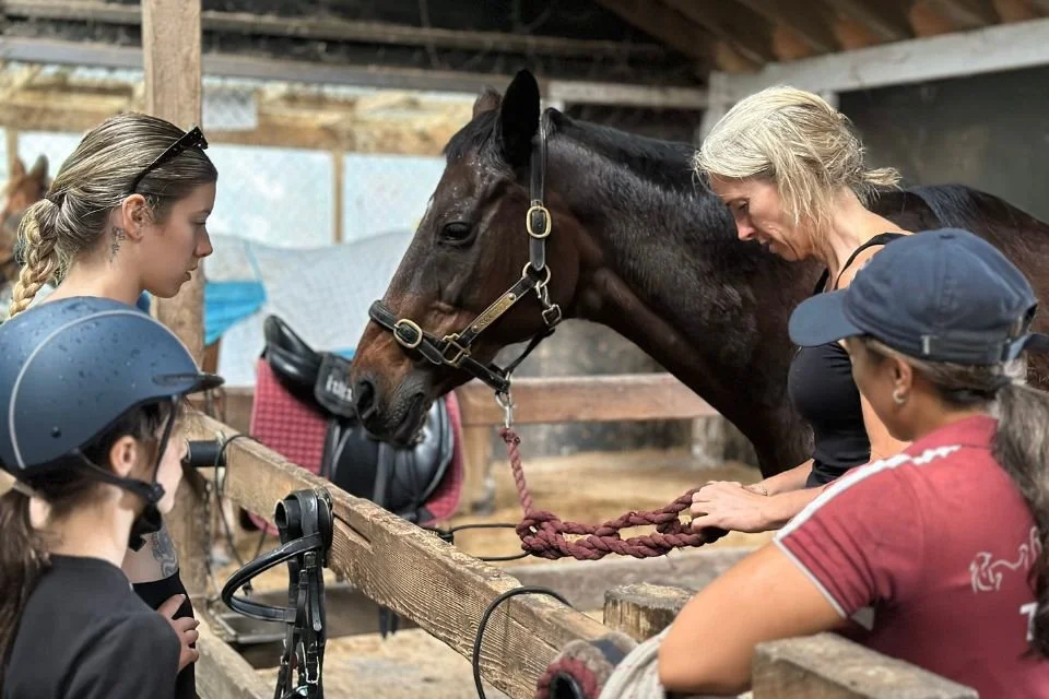 Pony Riding Lesson Horse Riding Lessons for Two — MC Equestrian Riding School