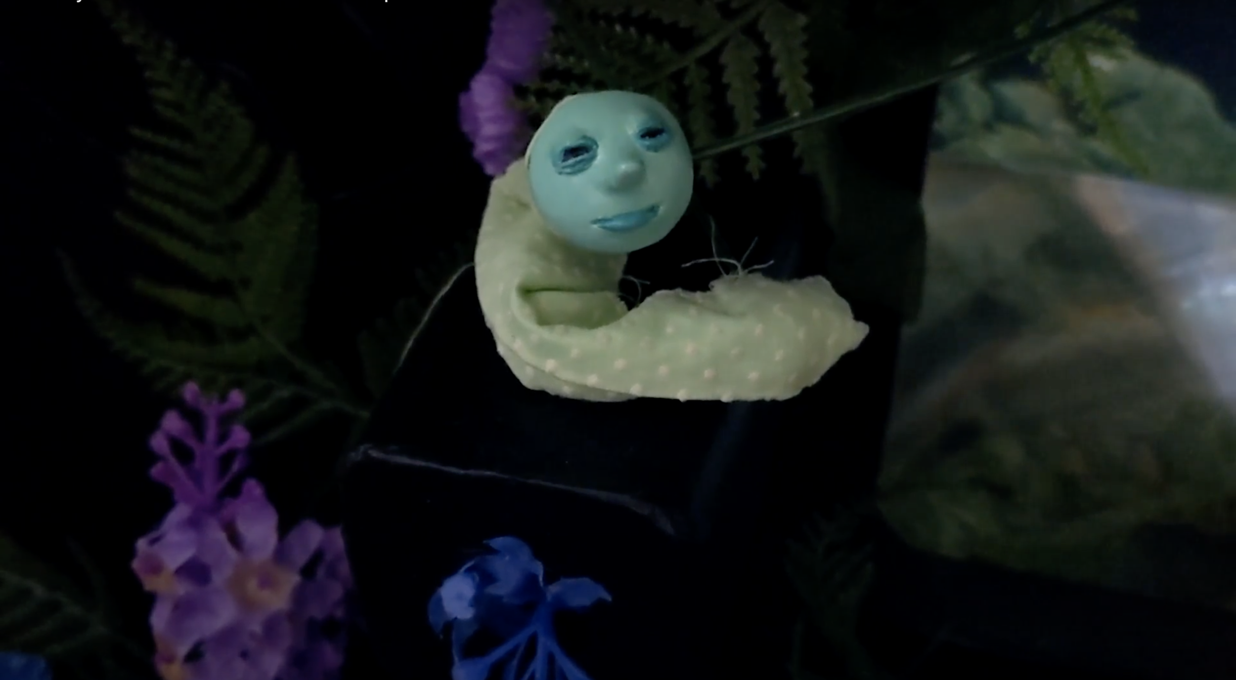 Screen Shot 2021-02-13 at 2.05.03 PM.png