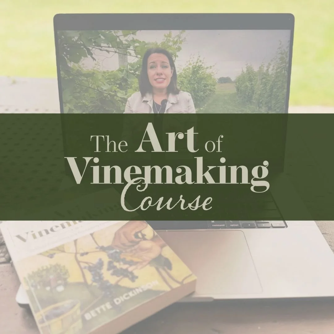 Social Art of Vinemaking Journey (Instagram Post).jpg