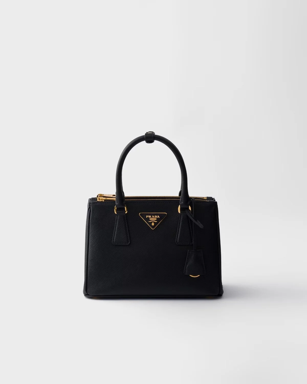 prada bag.jpg