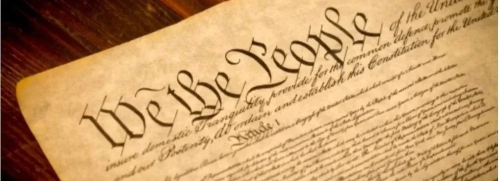 wbD constitution.jpg