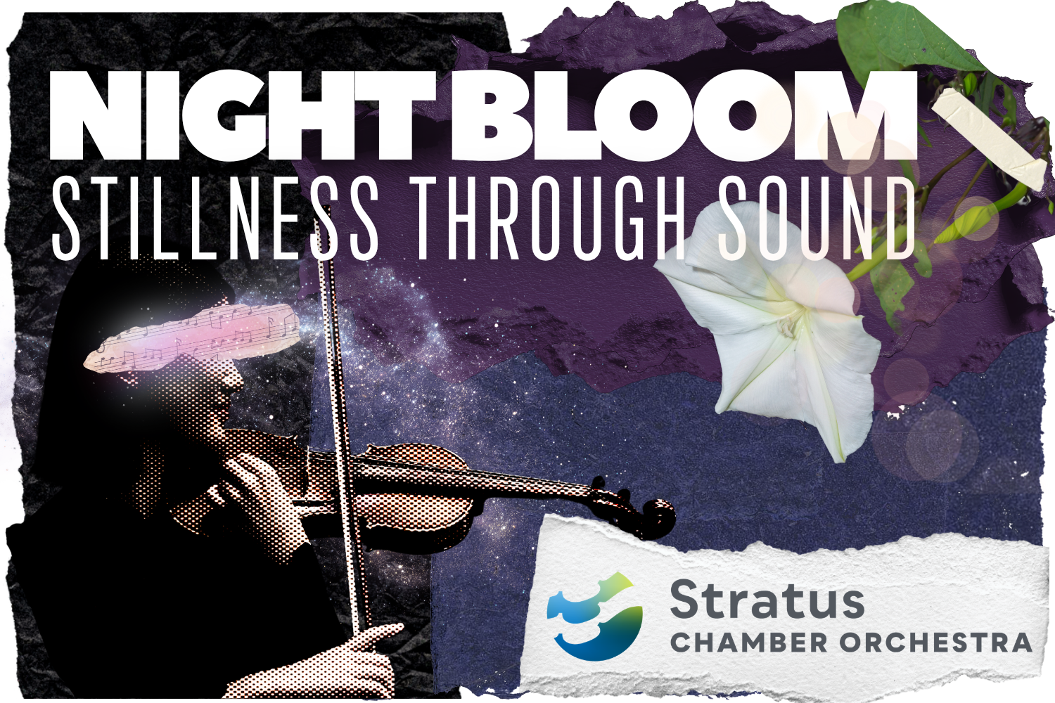 May 15, 2027 - Denver - Experience stillness through sound as Stratus Chamber Orchestra performs a meditative concert of classical masterworks.