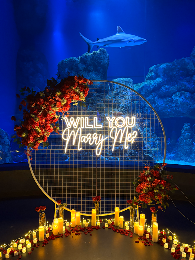 Cairns_Aquarium_2.png