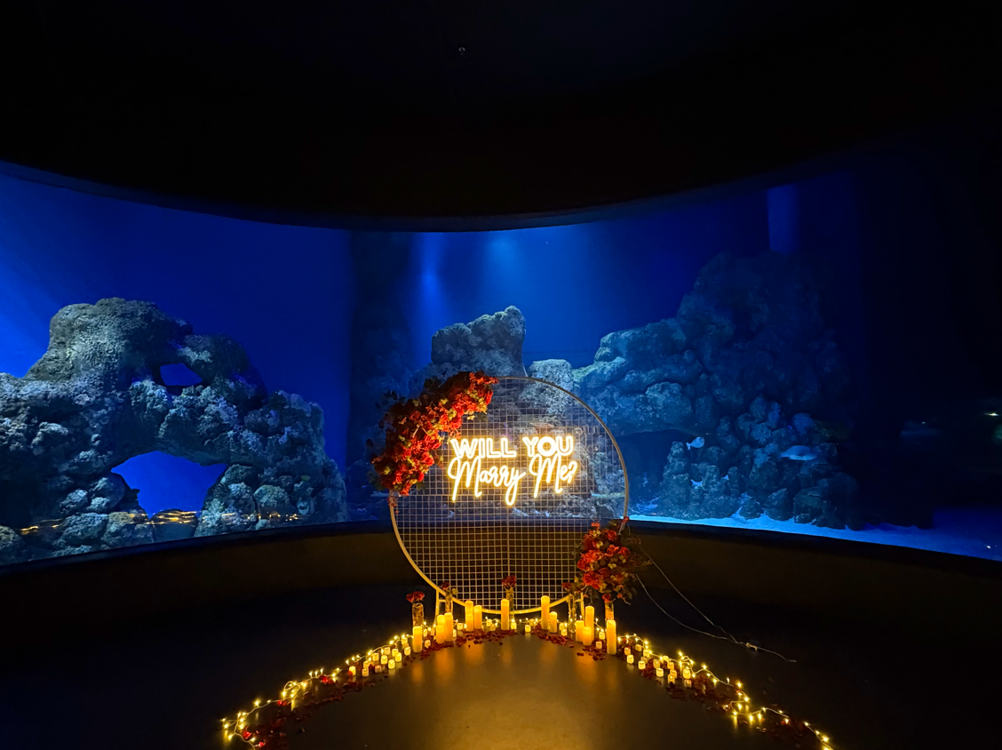 The Full Proposal Experience