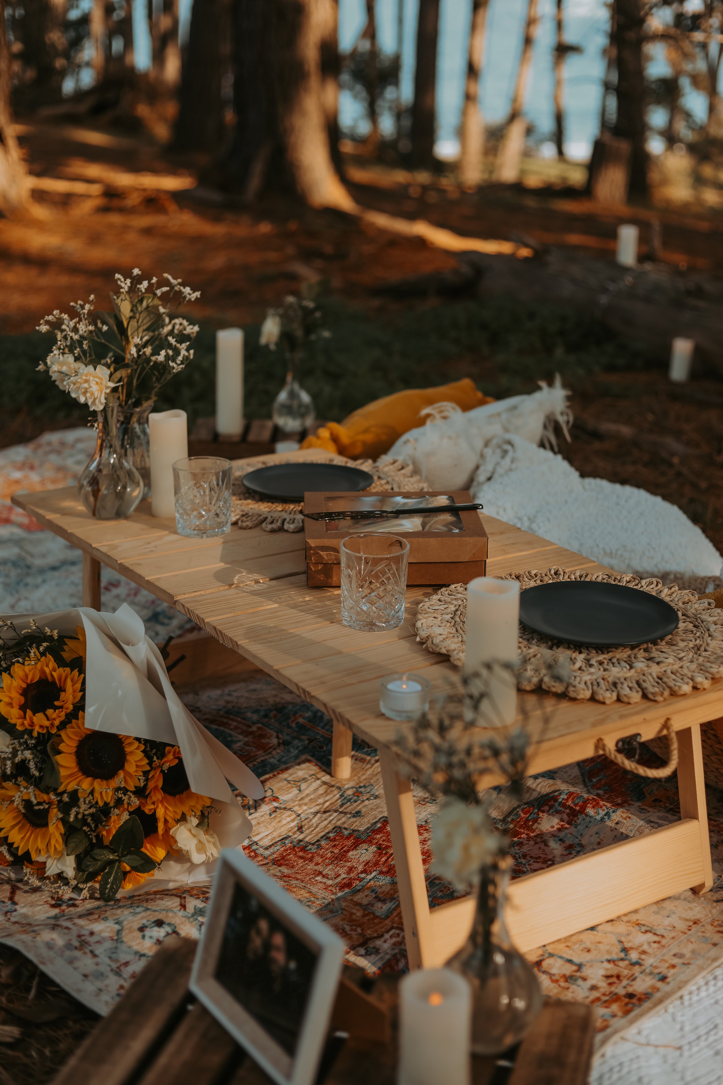 Romantic Picnic Proposal Ideas in Melbourne & Mornington Peninsula