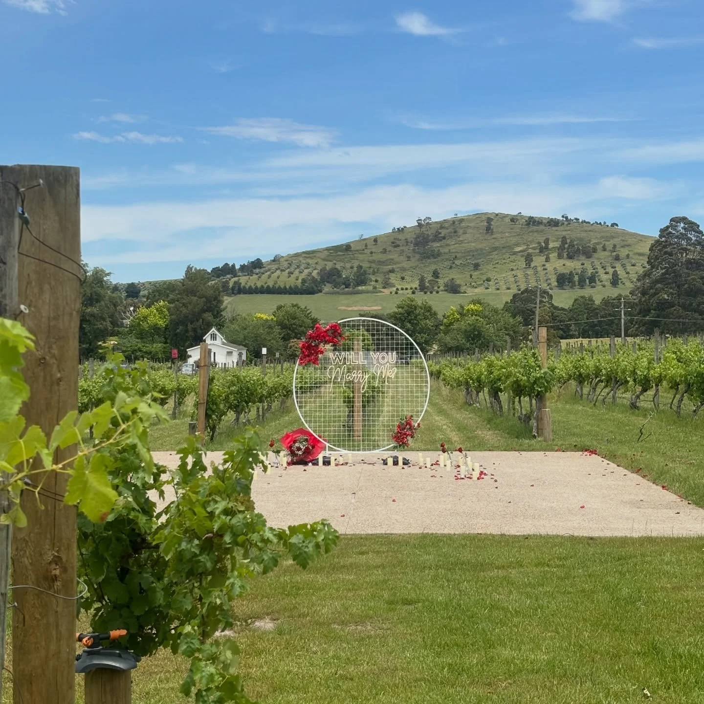 Simple. Romantic. Perfect.
A Fergussons Winery proposal 🤍💍
