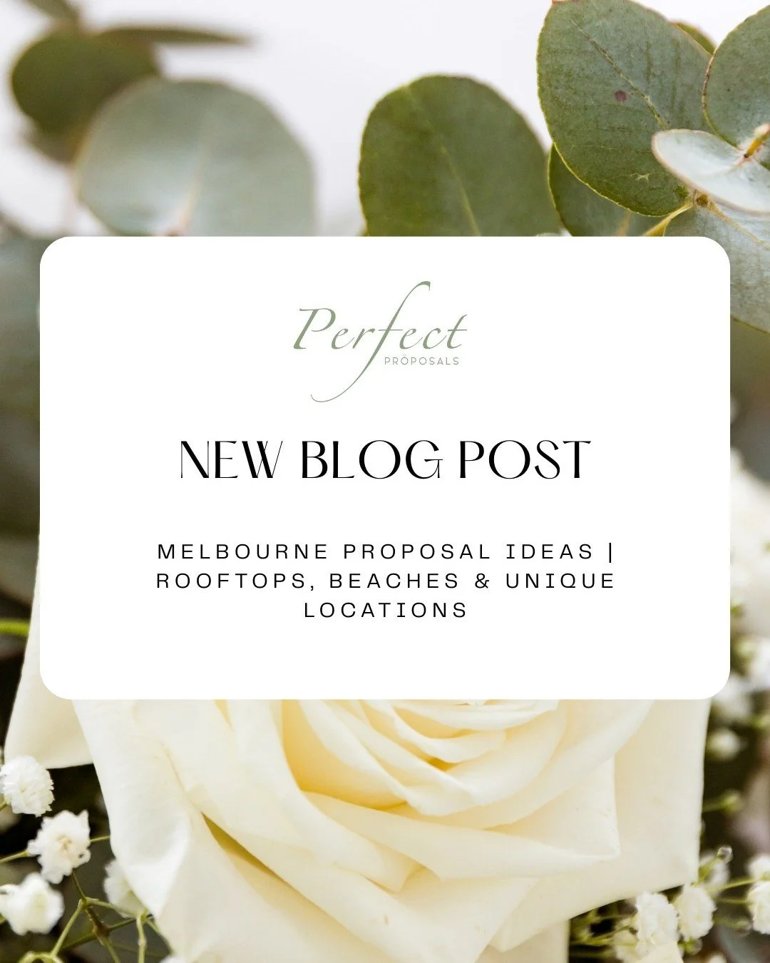 Tonight on the blog we're sharing Melbourne locations that we think you'll love!