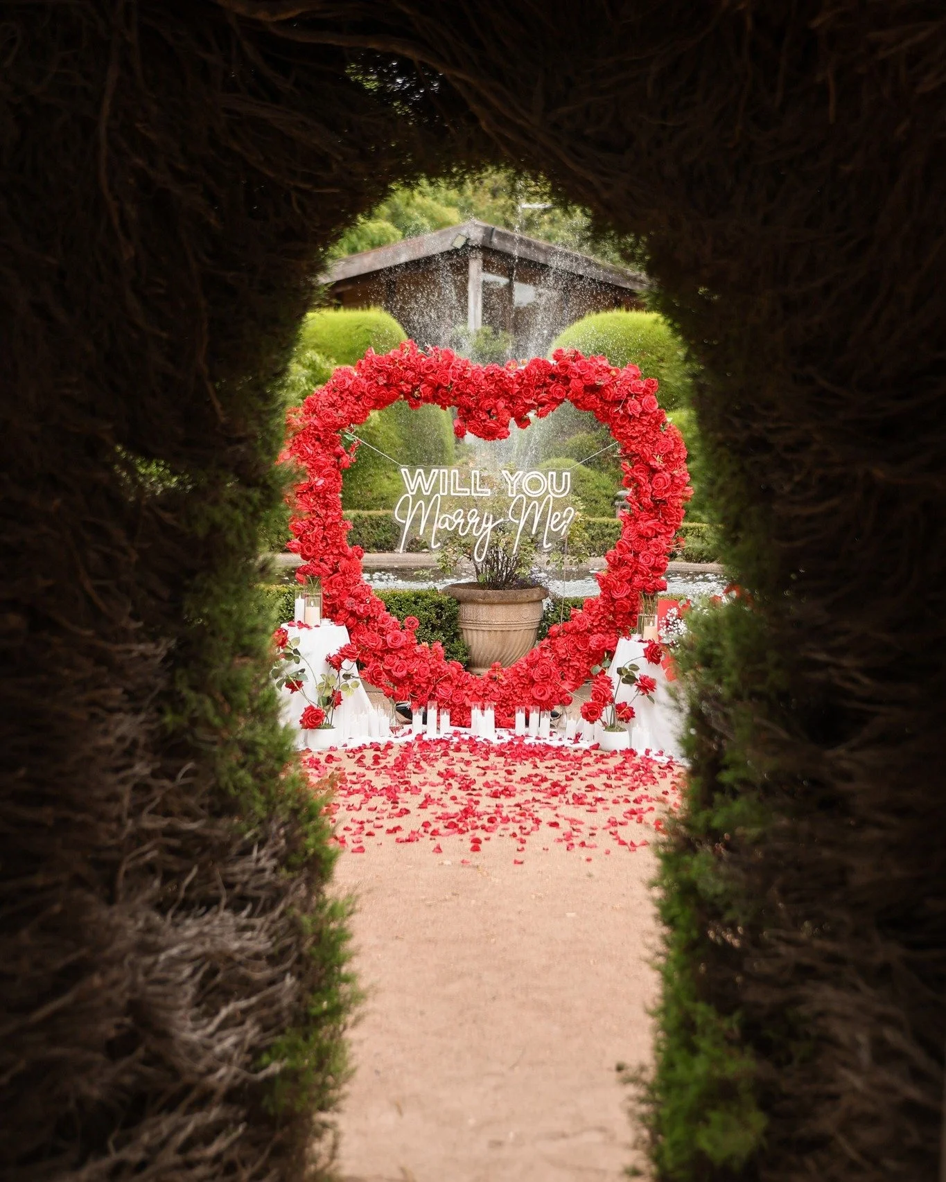 In the gardens, through the maze, 
you and your partner share a loving gaze.
A romantic gesture, one big ask,
A moment of love &mdash; a lifelong task.

📸 @jodylouisephotography