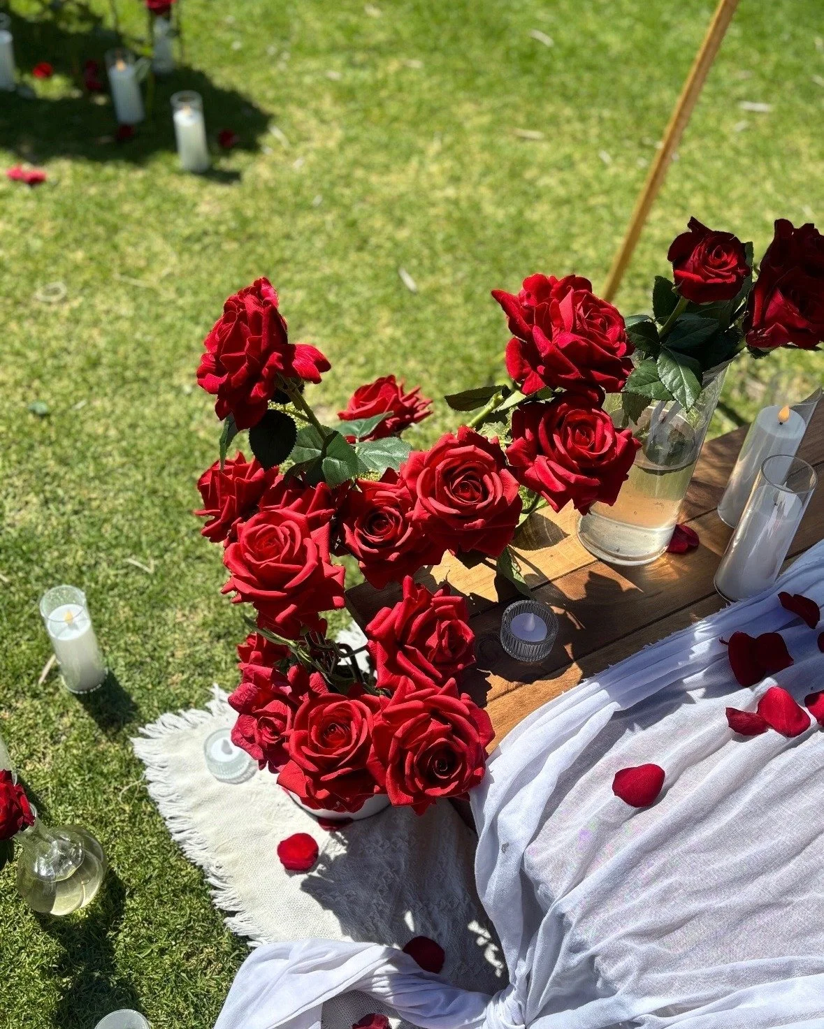 A picnic kissed by petals, basking in the sun.
