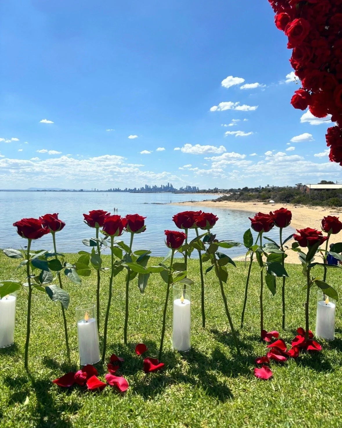 The sky stretches wide, endless and blue,
while petals scatter softly at your feet,
like little promises already unfolding.