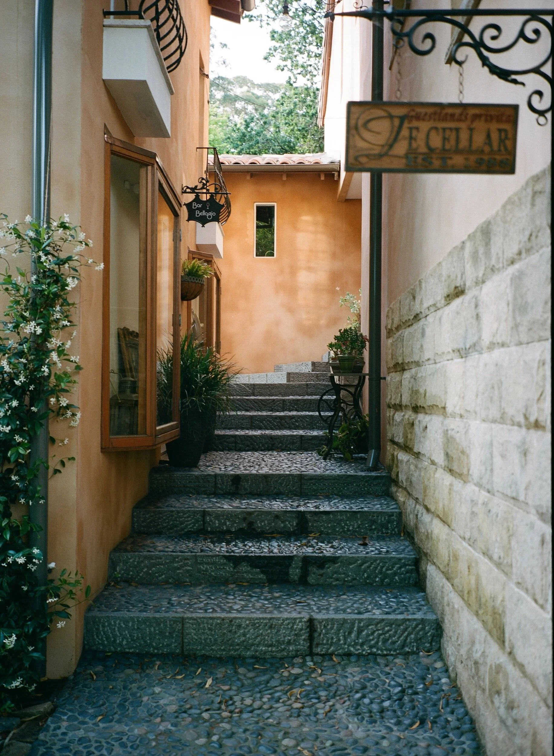 private-guestlands-cellar..WEBP