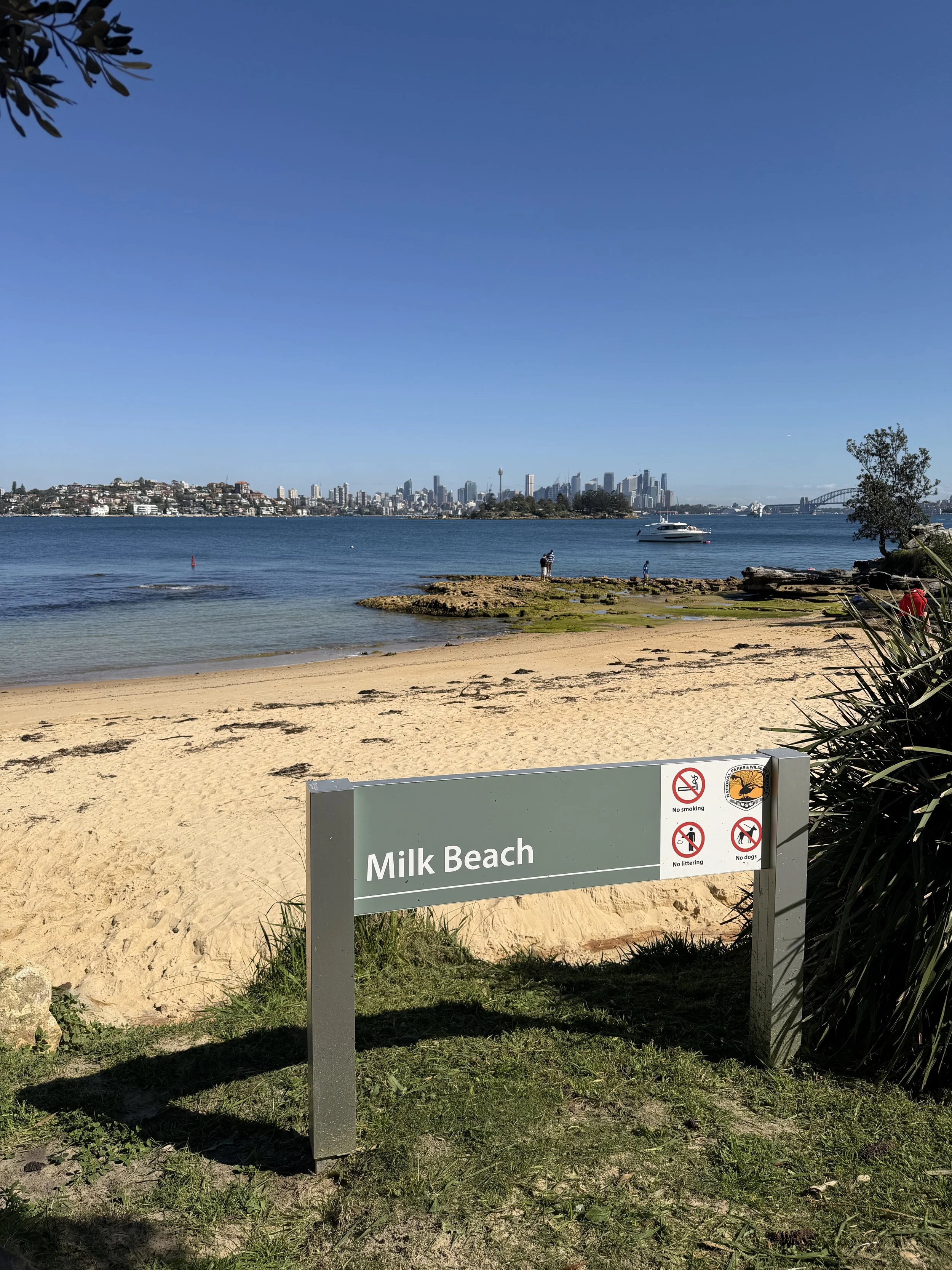 Milk-Beach.jpeg