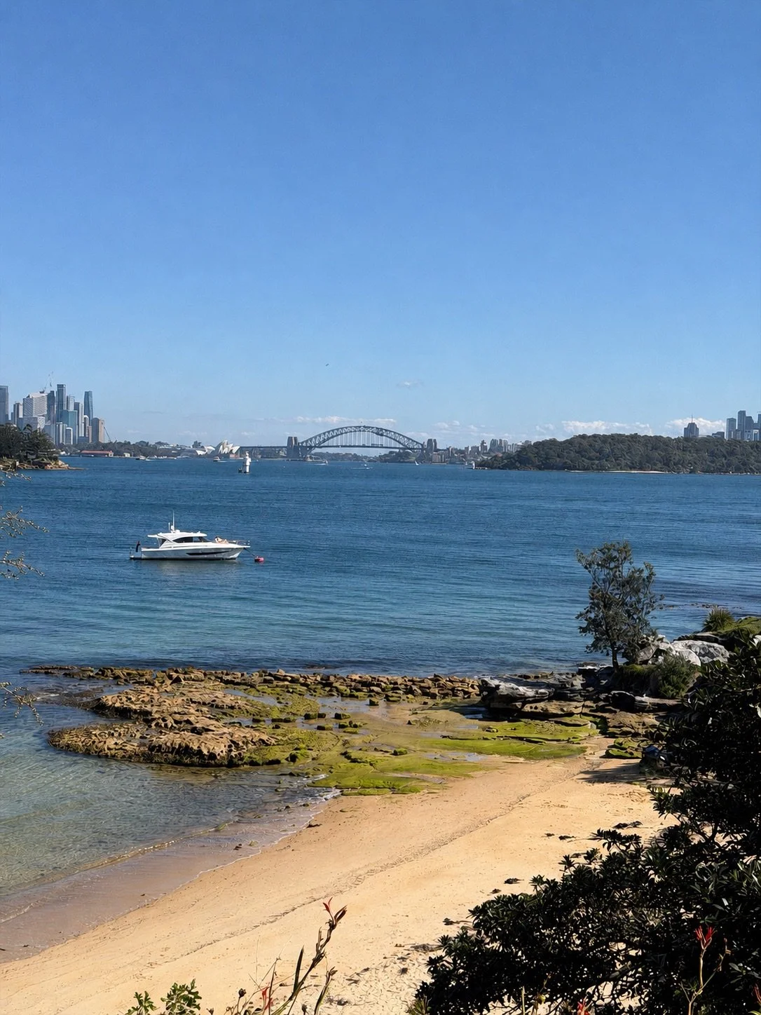 4 Romantic Sydney Proposal Ideas: Which Style Is Right for You?