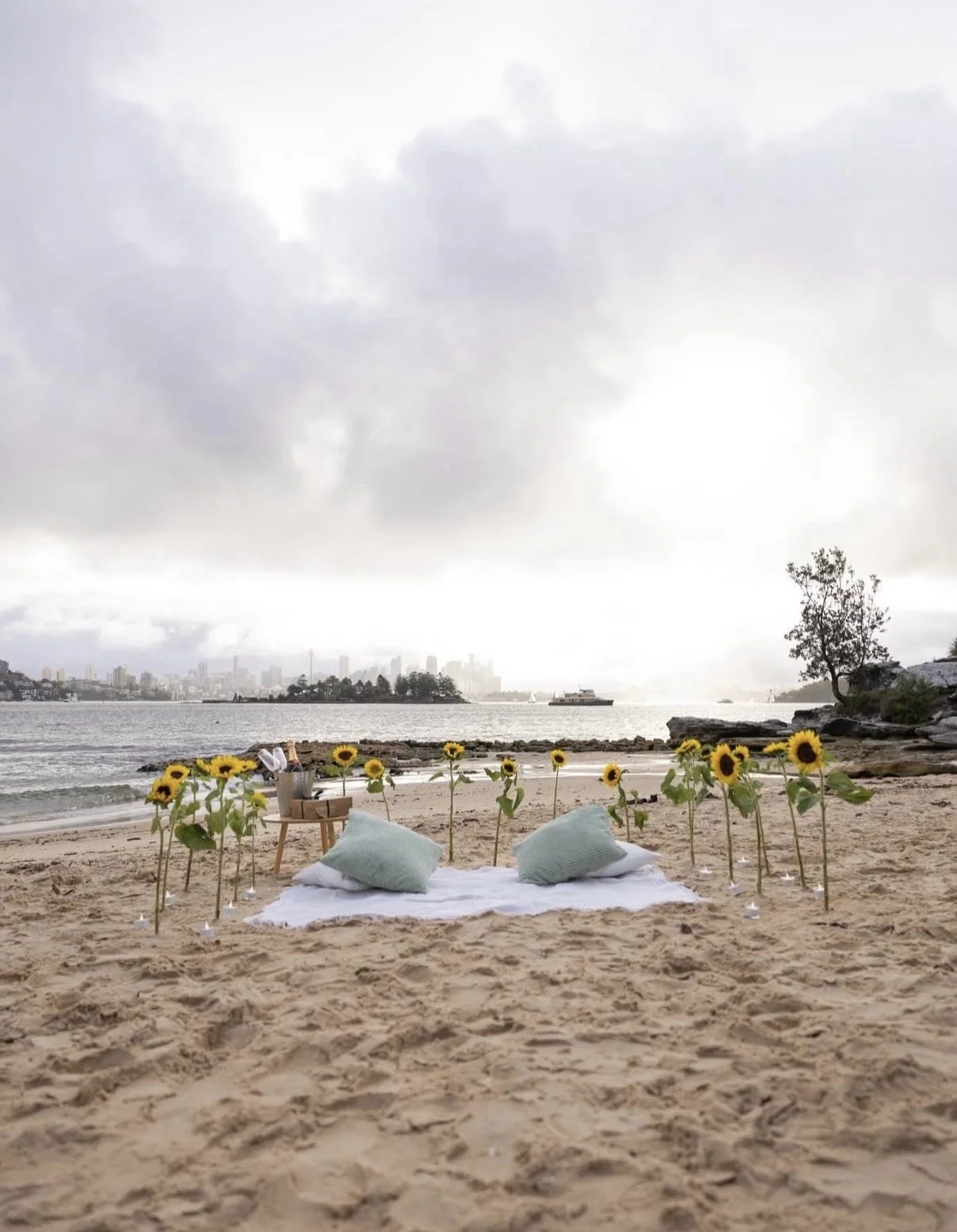 milk-beach-sydney-picnic.jpg