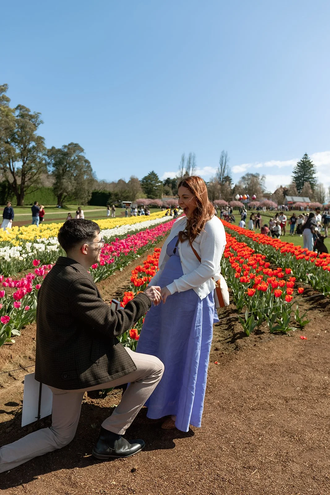 Tulip_Festival_Proposal1.jpg