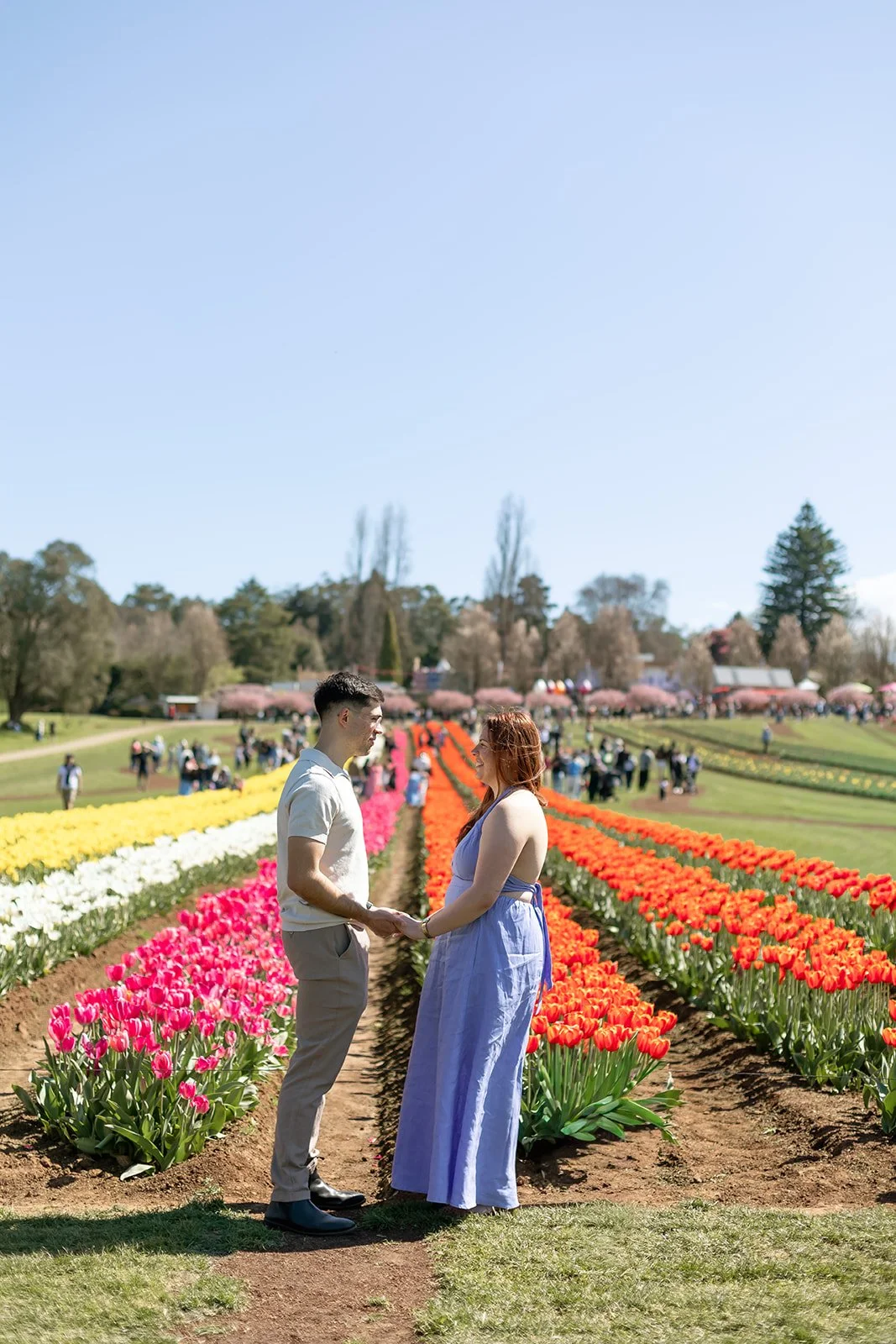 Tulip_Festival_Proposal9.jpg