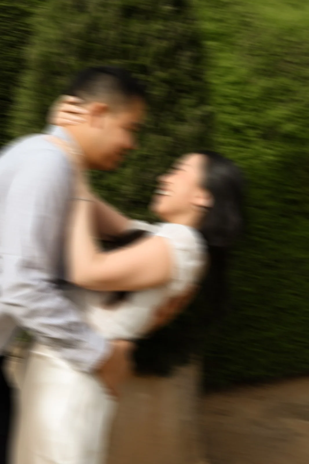 Ashcombe_Maze_Proposal_White_Dream2.jpg