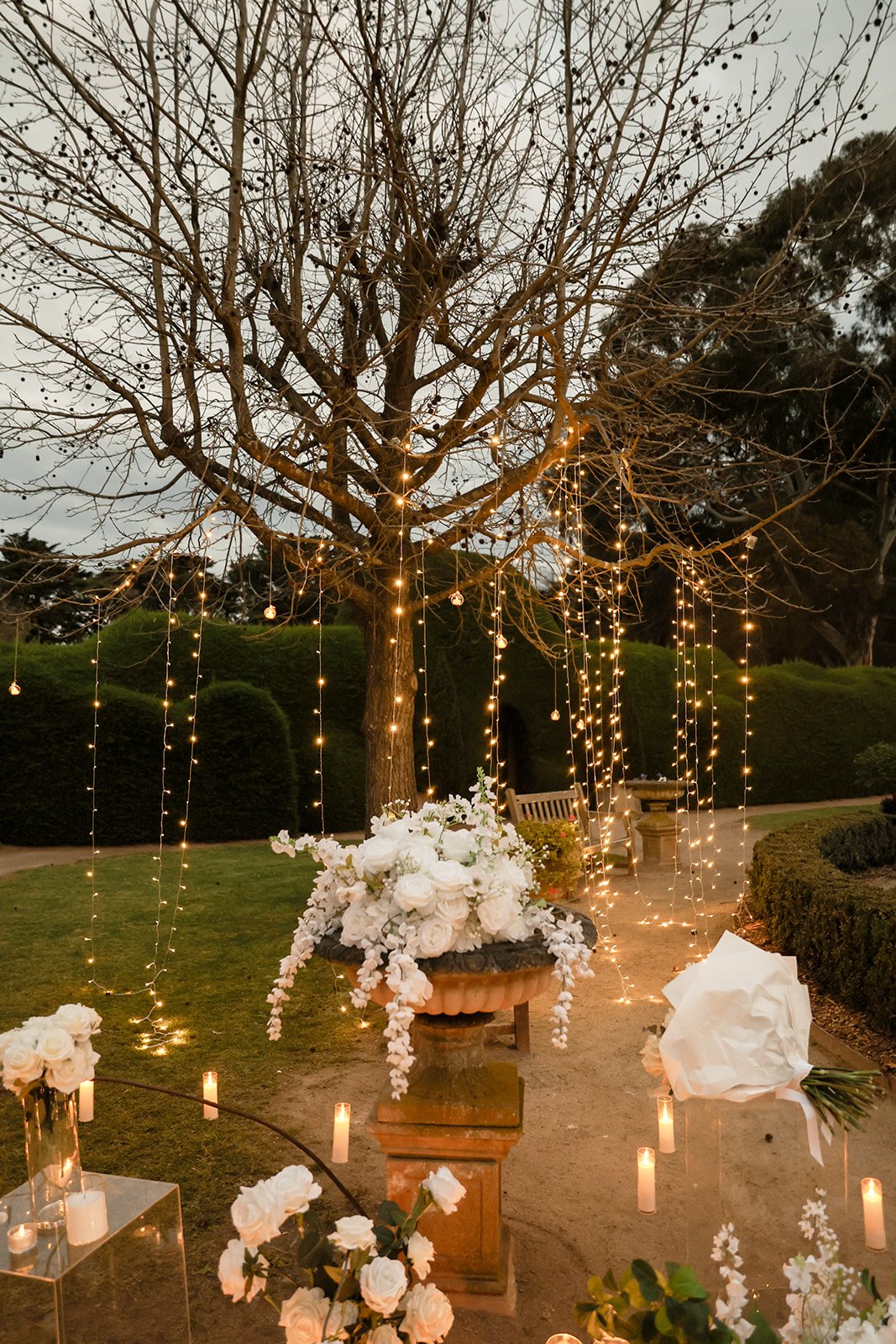 Fairytale_Proposal_Mornington_Peninsula1.jpg