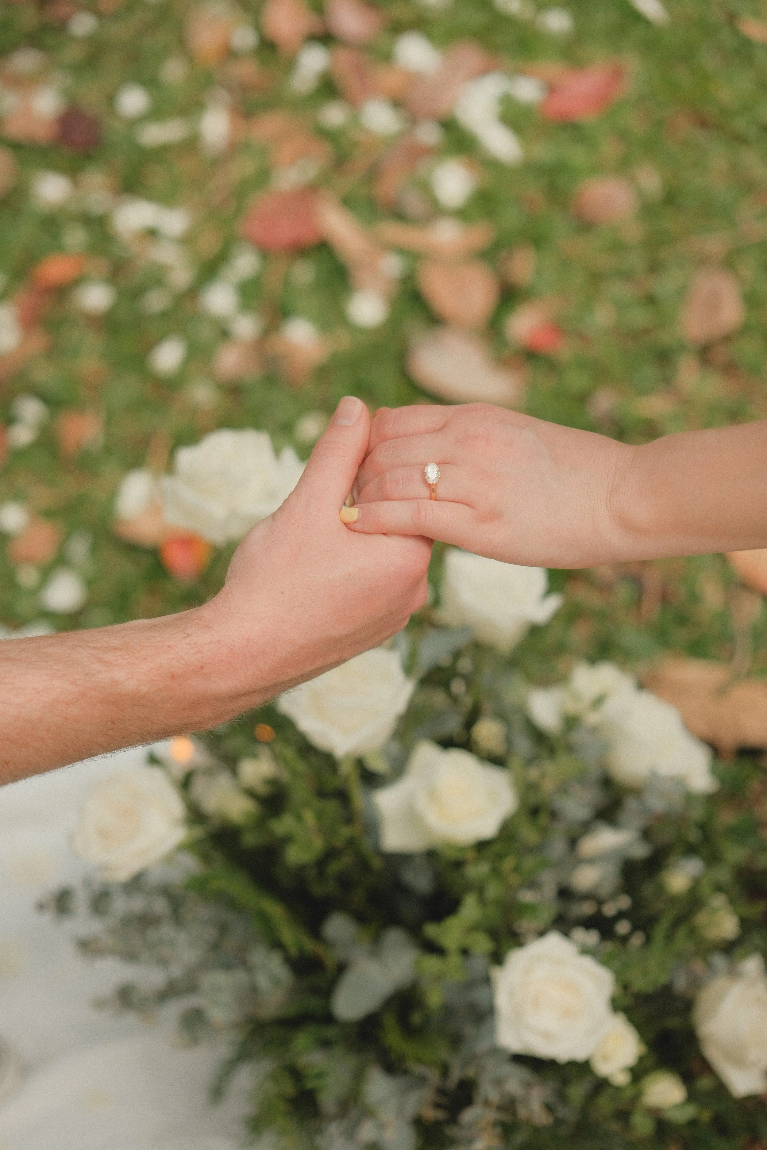 proposal_CairnsBotanical Gardens.jpg