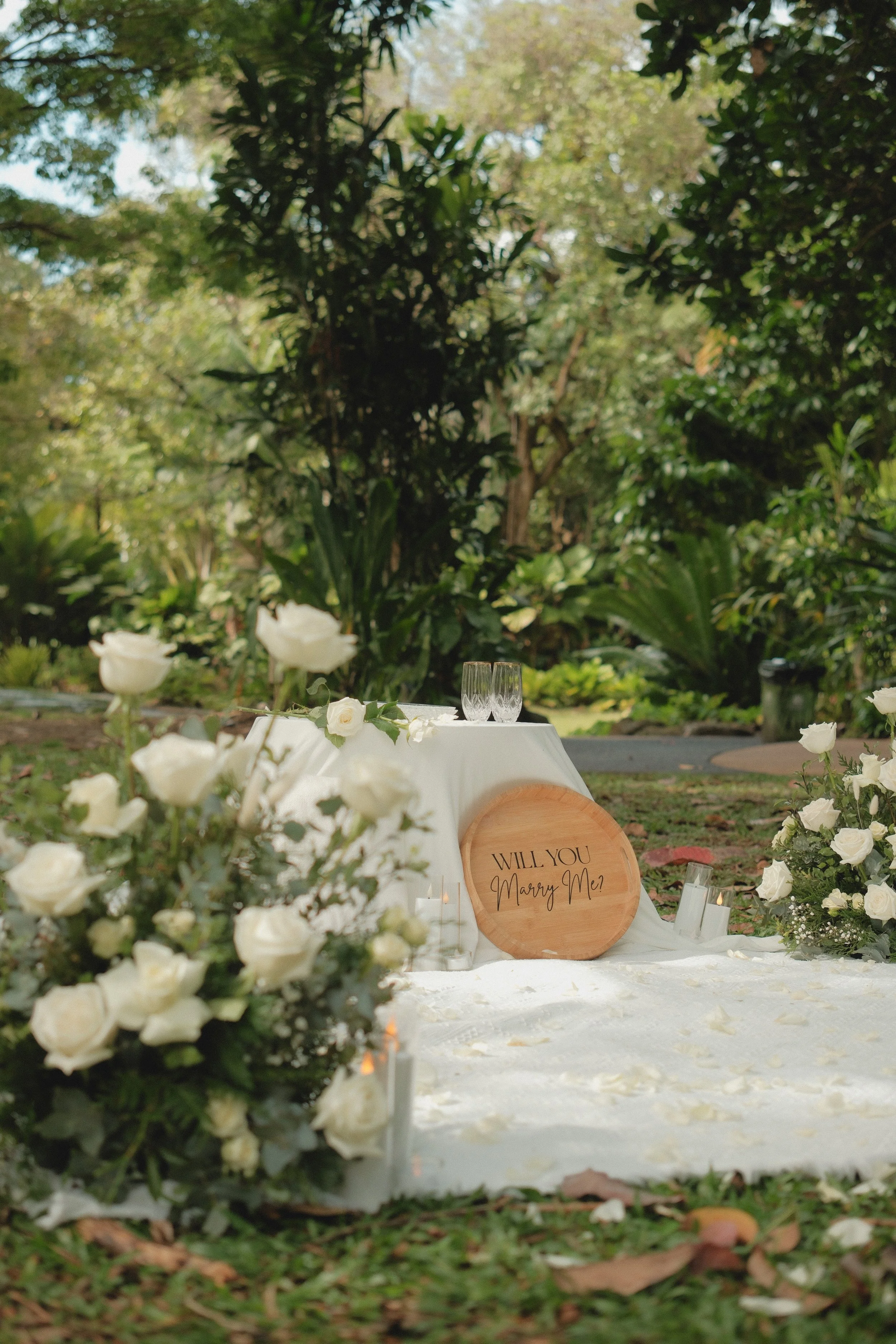 Cairns Botanic Gardens: A Lush Green Proposal Venue