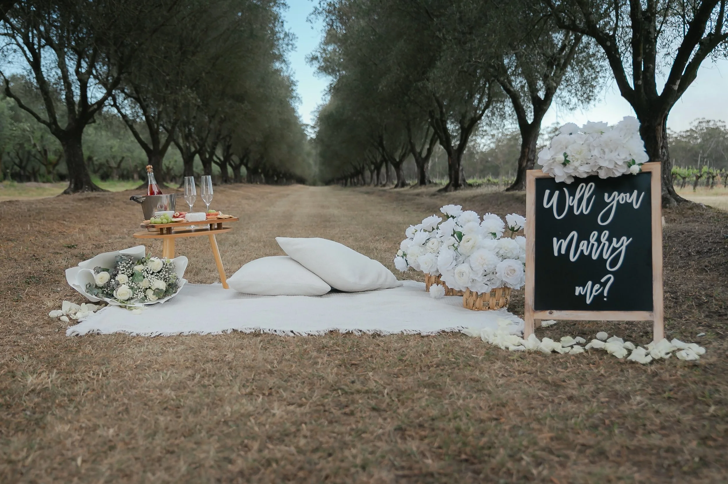 Another yes at @adinavineyard 💍 Our Perfect Picnic, made for a moment like this.

Planning a proposal? DM us to start planning, or send this to someone who needs a little hint 🤍🫒🥂 

Venue: @adinavineyard 
Styling and coordination: @perfect_propos