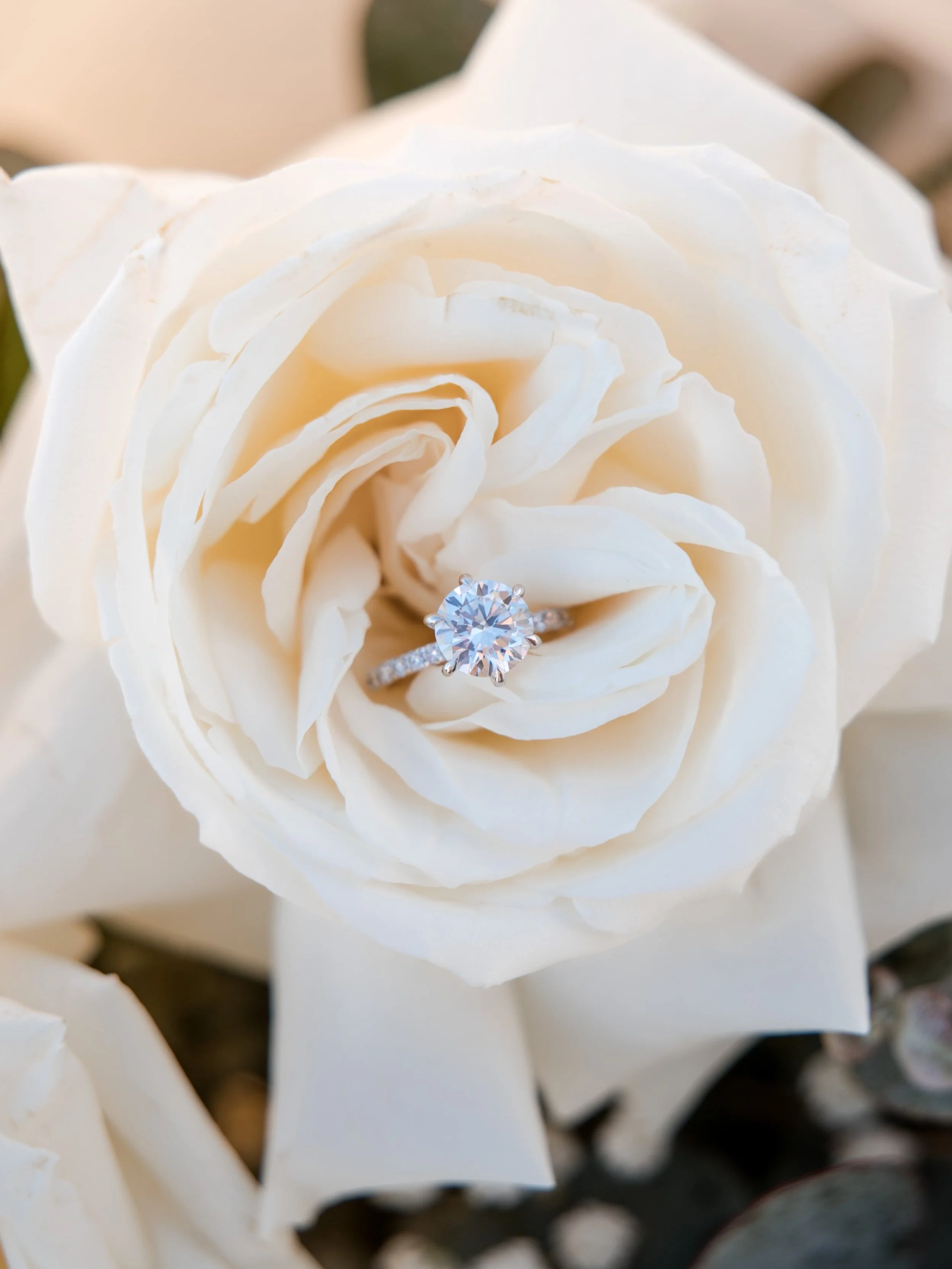 It&rsquo;s all in the details.

The little touches, the thoughtful extras, the finishing details that bring everything together.

Because creating unforgettable moments is about so much more than just a beautiful setup. It&rsquo;s about making every 