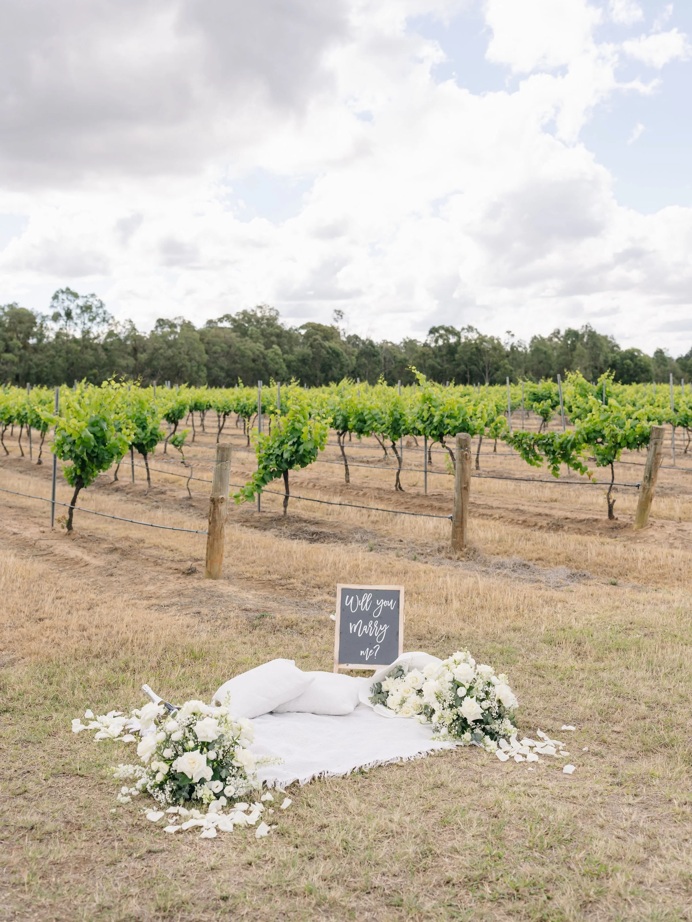 You send us the brief, we listen, and we make it happen. 🤍

Our client @cadecust had a vision. Something simple, intimate and romantic, set amongst the vineyards of the Hunter Valley, where he would ask @lid_ee to marry him.

So we brought it to lif