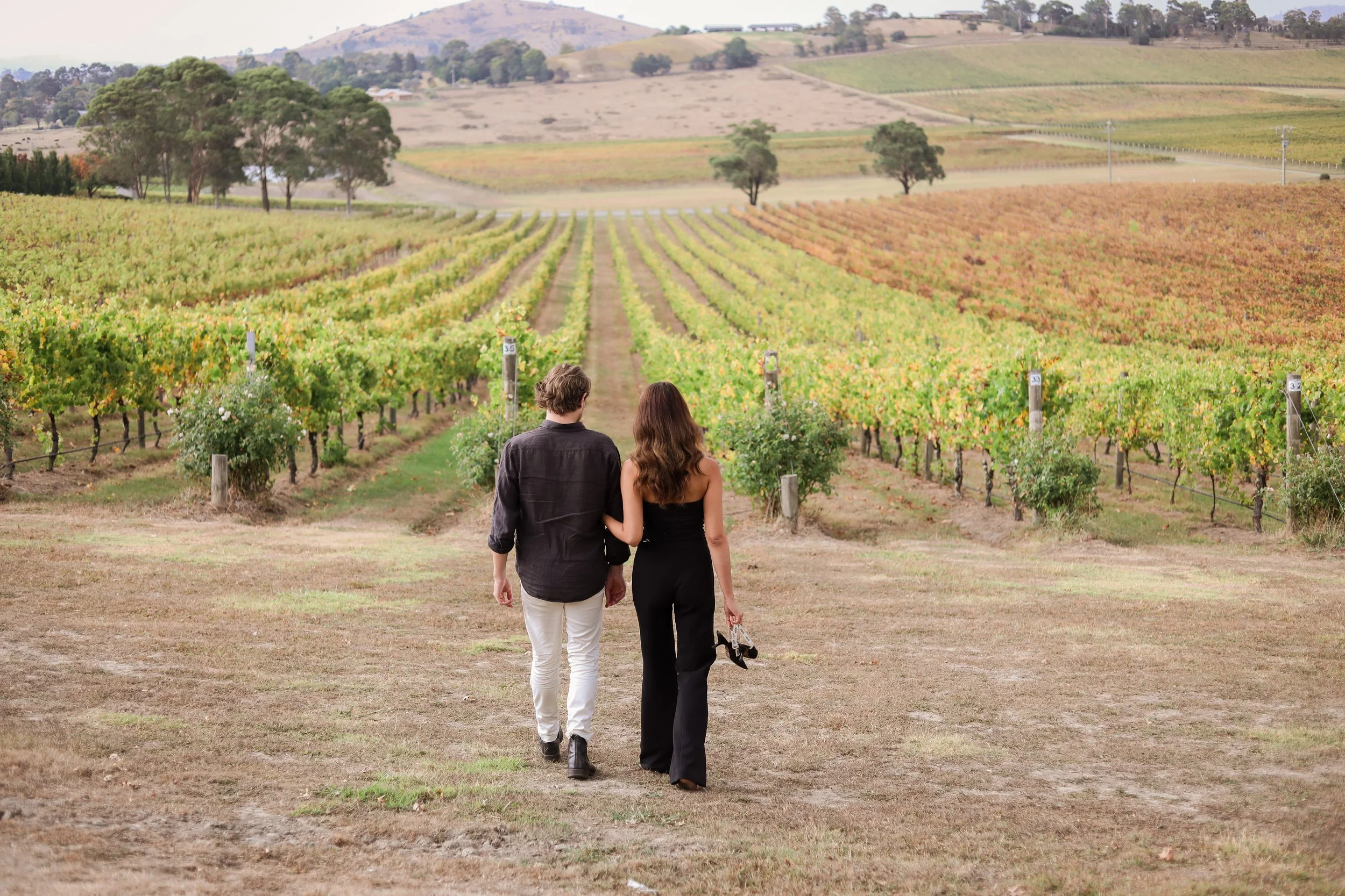 Yarra_Valley_Winery_Proposal (8).jpg
