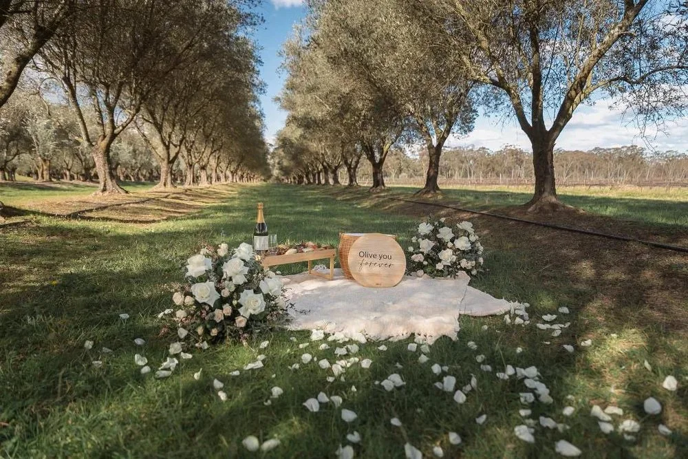 Hunter Valley and Sydney Picnic Proposal Ideas. Luxury Proposal Set Ups