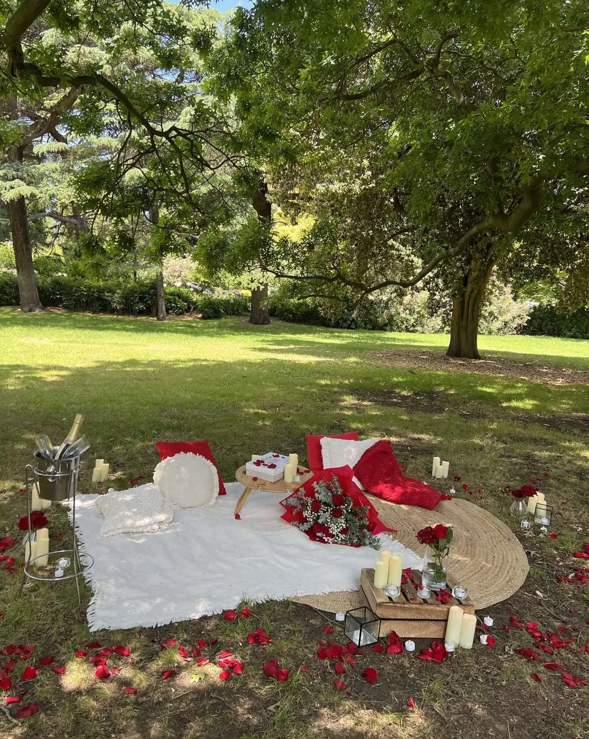 Simple Budget Picnic Proposal Package
