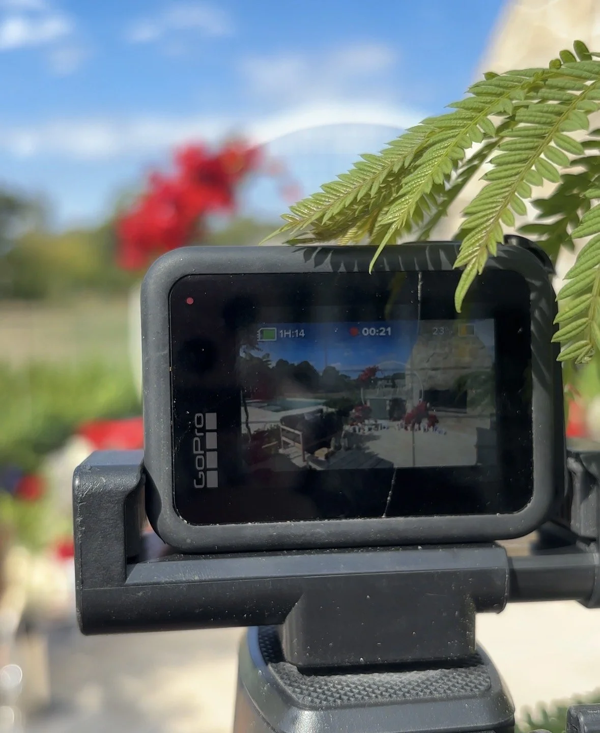 Go Pro Hire