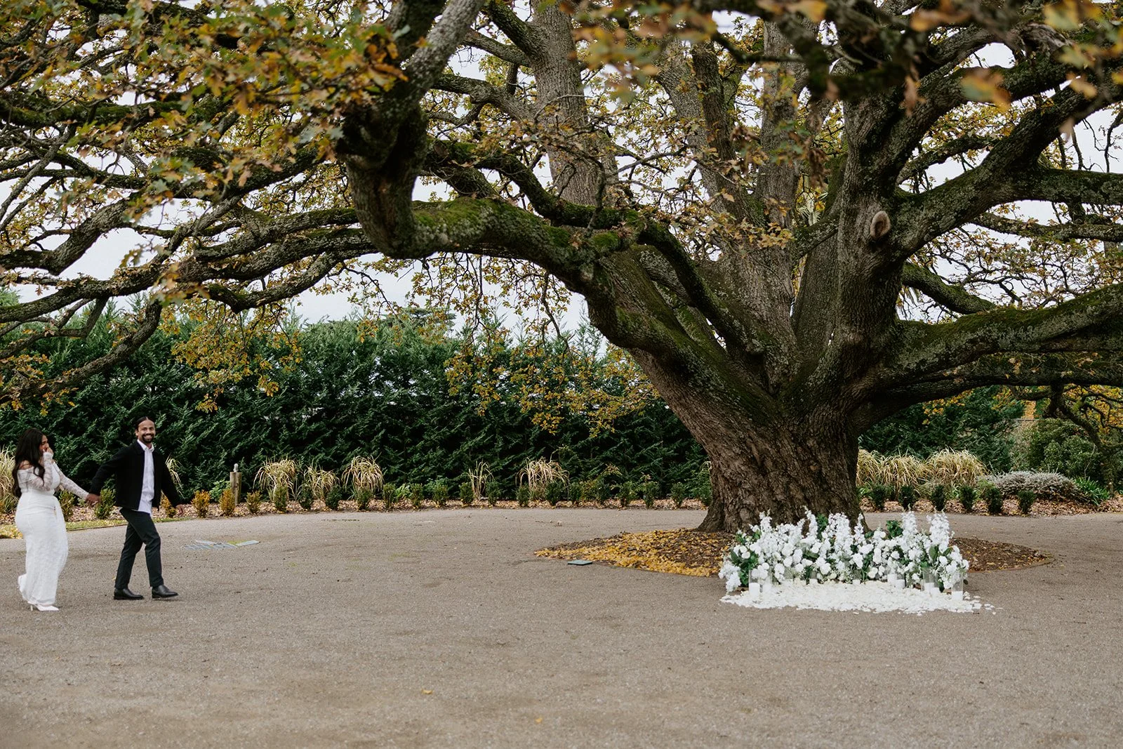 Yarra Valley Proposal Ideas - Winery Proposal ideas with Luxury Set Ups