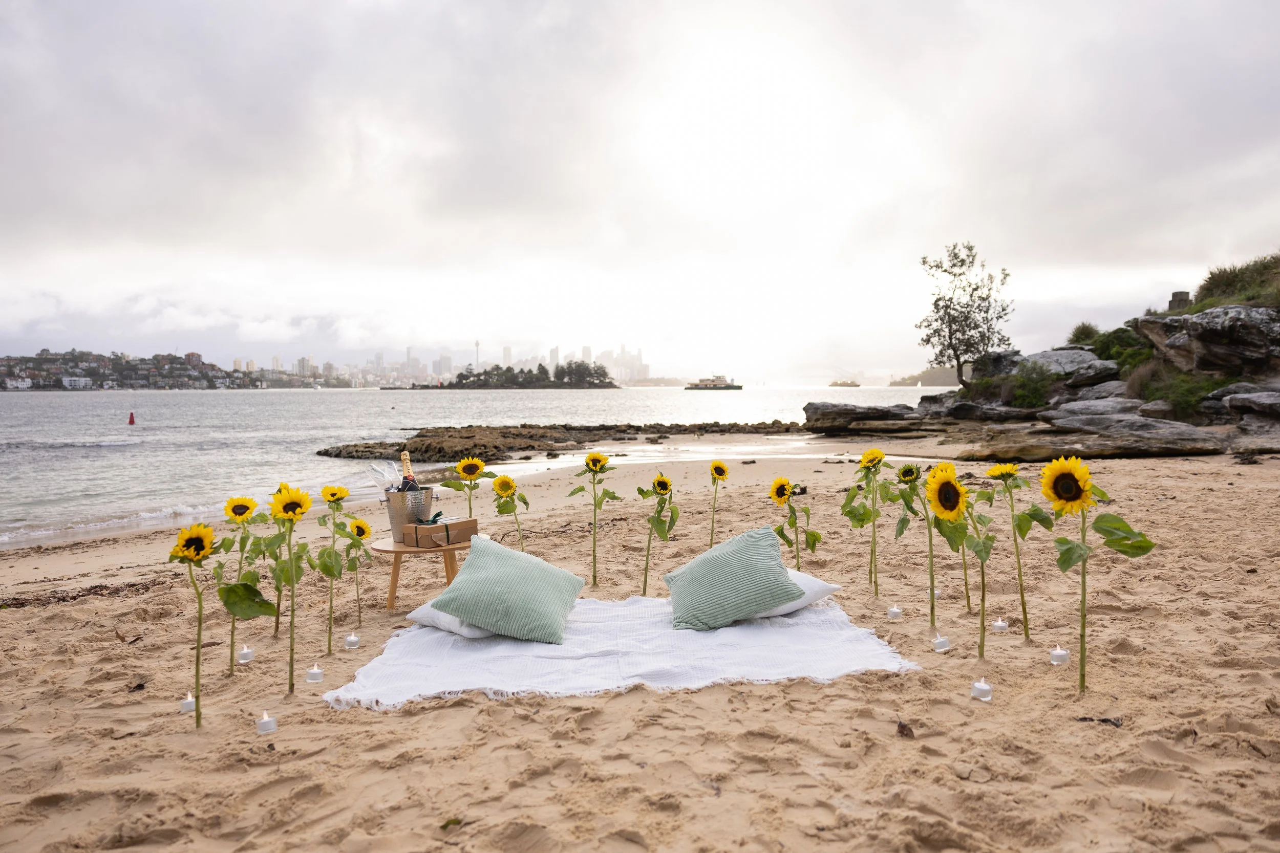 A beach scene with sunflowers arranged in a line along the shoreline, creating a natural floral border. There is a white picnic blanket with pillows and a small table holding a bottle of champagne and other items. The background shows water with boat
