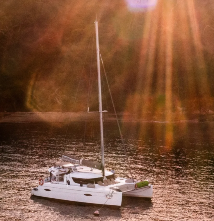 A white sailing yacht docked on calm water during sunset with sunrays filtering through trees in the background.